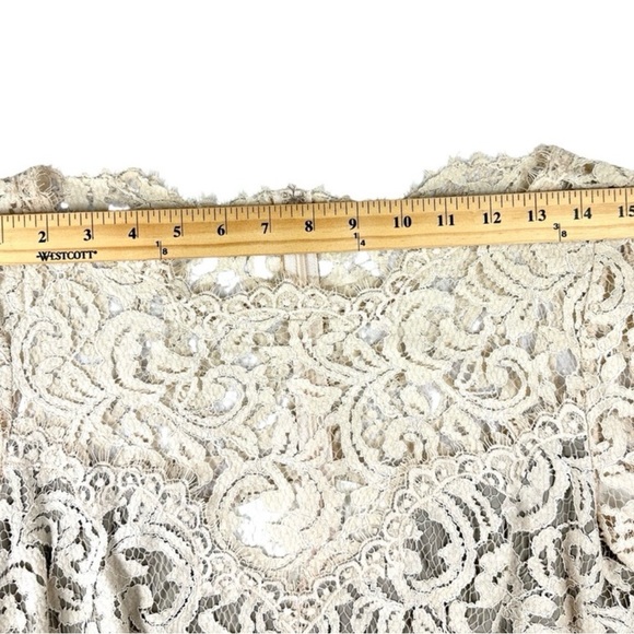 Tadashi Shoji Lace Dress in Cream - Picture 6 of 8